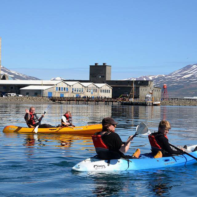 Kayak tours Hjalteyri